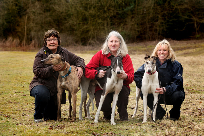 Volunteers Kath Armitage, Karen Fraser and Alison Waggot with greyhounds